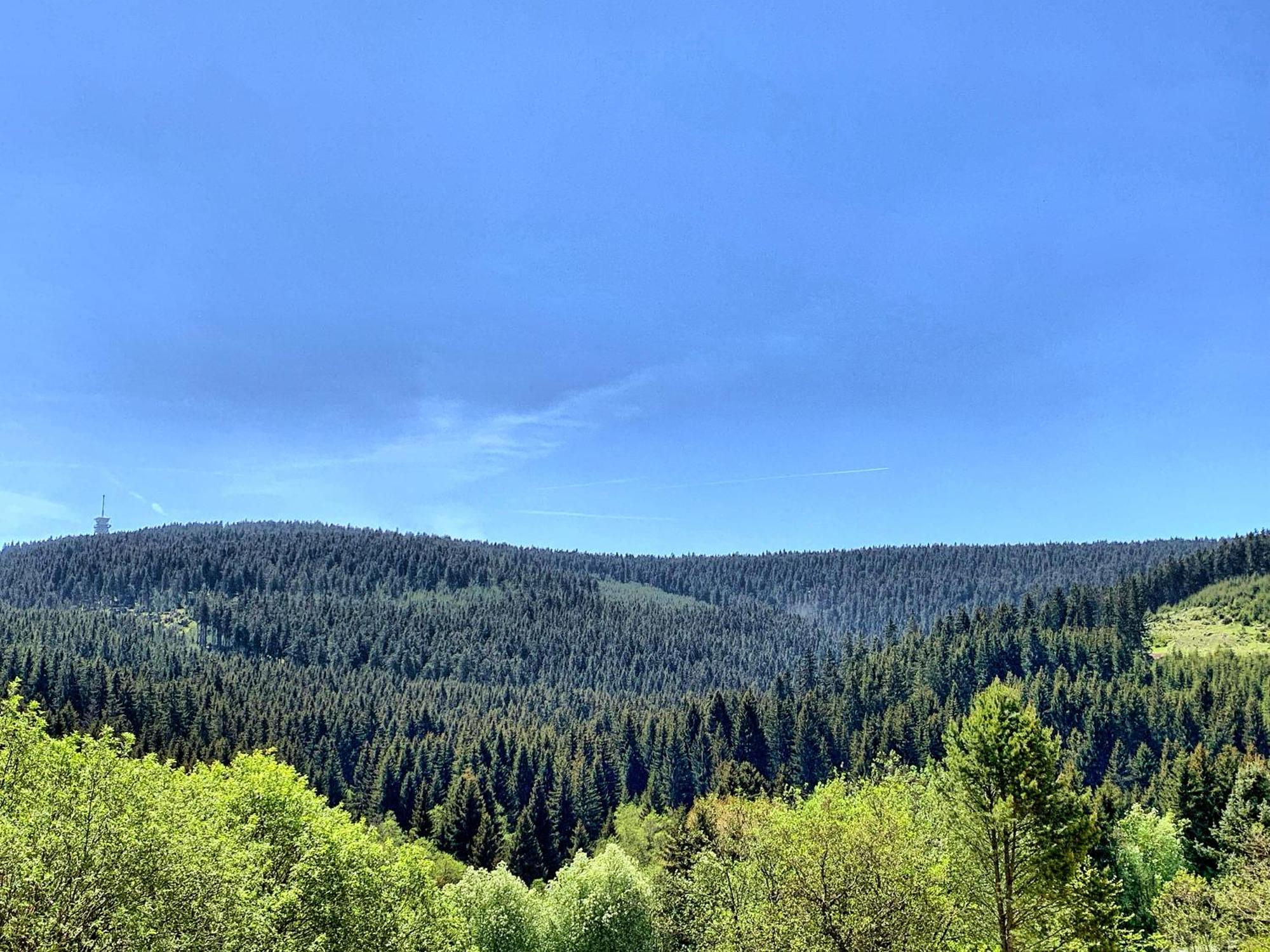 Erzgebirge Suite Bergruhe Обервізенталь Екстер'єр фото
